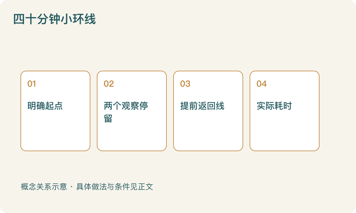 四十分钟小环线：明确起点；两个观察停留；提前返回线；实际耗时